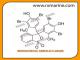 BROMOCRESOL GREEN ACS GRADE