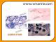 GIEMSA STAIN